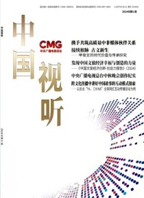 中国视听